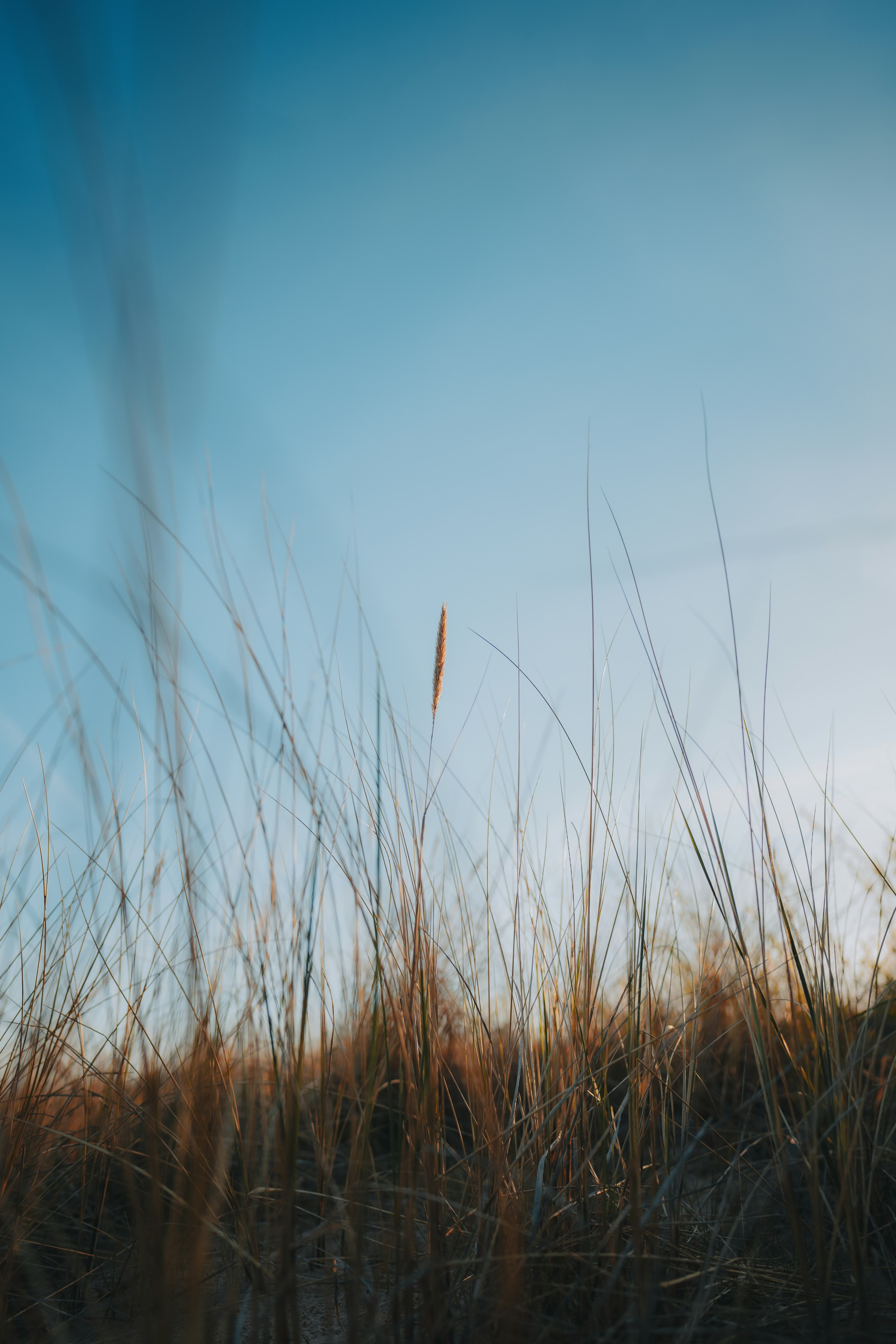 background image login